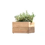 Jan kurtz - Bloembak minigarden 25 x 40 cm, teakhout naturel