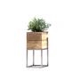 Jan kurtz - Bloembak minigarden met frame 25 x 25 cm, teakhout naturel