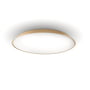Artemide - Febe LED wand- en plafondlamp, Ø 61 cm, duifgrijs