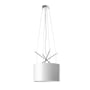 Flos - Ray Hanglamp, wit