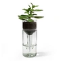 side by side - Self Watering Bottle Bloempot, helder glas