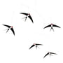 Flensted Mobiles - Flying Swallow s Mobiel 5