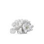 Mette Ditmer - Coral Decoratief voorwerp takjes klein, wit
