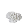 Mette Ditmer - Coral Decoratieve object kieuwen, wit