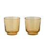 Muuto - Raise Drinkglas 20 cl, burnt orange (set van 2)
