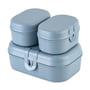 Koziol - Pascal Ready Mini lunchbox set, nature bloem blauw