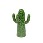 Serax Cactus - Vaas, M, groene stadsjungle