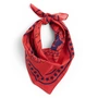 HAY - Dogs Hondenhanddoek, gerecycled, 55 x 55 cm, rood