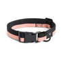 HAY - Dogs Halsband voor honden, M/L, roze/zwart