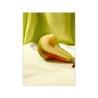 Paper Collective - Pear Poster, 50 x 70 cm