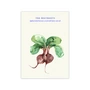 Kopie - Paper Collective - The Beetroots Poster, 50 x 70 cm