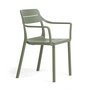 Cassia Fauteuil, cactus