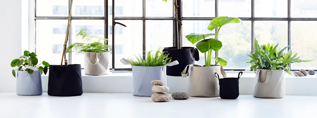 Trimm Kopenhagen - koptekst