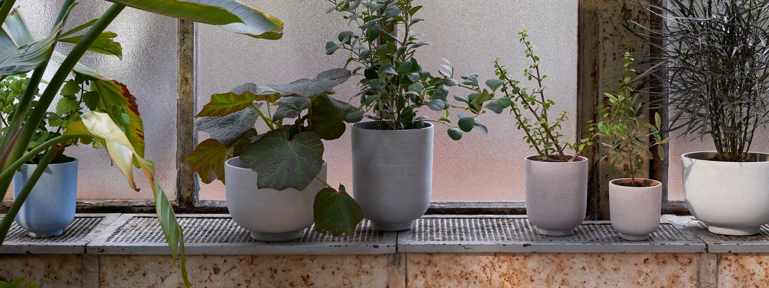 & Traditie - Collect