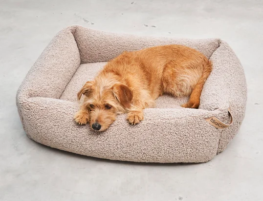 Senso dierenkussen van MiaCara