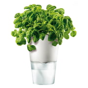 Eva Solo - Kruidenpot Ø 11 cm