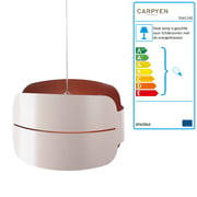 Carpyen - Irma Hanger Licht