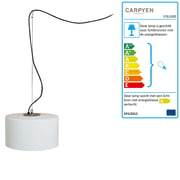 Carpyen - Harry Hanger Lamp