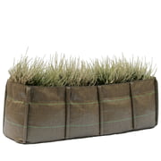 Bacsac - Baclong Plantentas