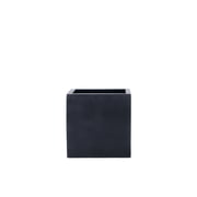 Amei - De Kubusplanter