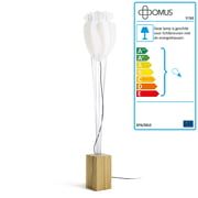 Domus - Tulip Vloerlamp