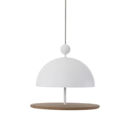 Frederik Roijé - Schotel van Desire Feeding Station