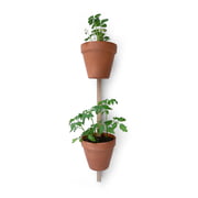 Editie Compagnie - Xpot 