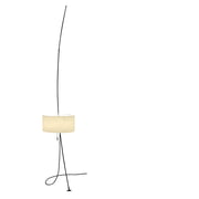 Carpyen Totora Aardingslicht