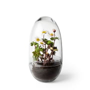 Design House Stockholm - Grow Şerre