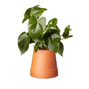 Boskke - Flipped Planter, terracotta