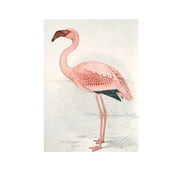 IXXI - Flamingo (Finch-Davies) 