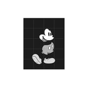 IXXI - Mickey Mouse (Zwart-wit)