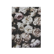 IXXI - Pioenrozen (Lemholt) 