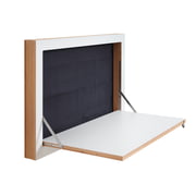 Ambivalenz - Fläpps Staatssecretaris