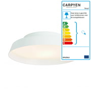 Carpyen - Boop! plafondlamp