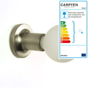 Carpyen - Punt wand- en plafondlamp