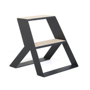 Frederik Roijé - Gedeelde trap Trapladder