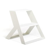 Frederik Roijé - Gedeelde trap Trapladder