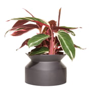 Boskke - Spoel plantenpot