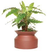 Boskke - Spoel plantenpot