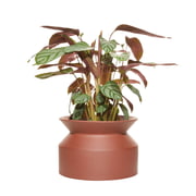 Boskke - Spoel plantenpot