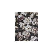 IXXI - Pioenrozen (Lemholt) 