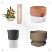 Cachepot versus Hydro Pot