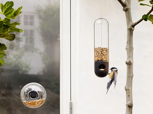 Elk jaar wordt er weer een vogelsoort met uitsterven bedreigd. Vogelhuisjes gaan het toenemende uitsterven van zangvogels tegen door ze een plek te bieden om uit te rusten en aan te sterken.