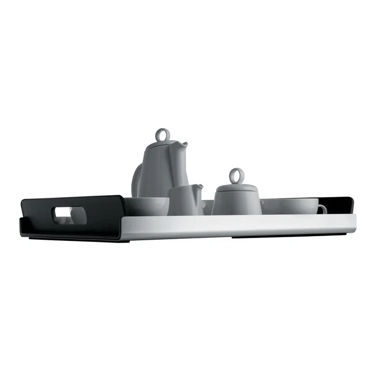 Stijlvol roestvrijstalen dienblad