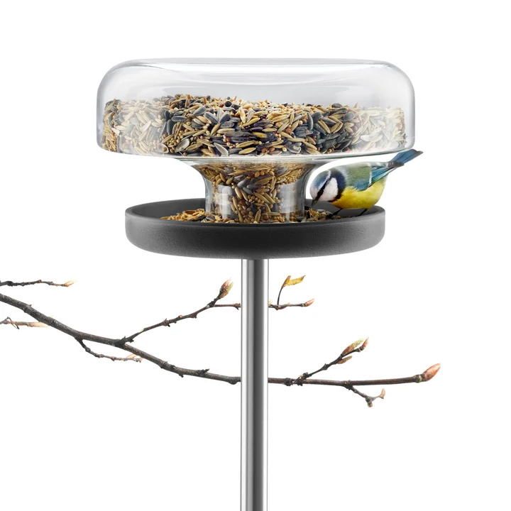 Eva Solo - Bird Table, met vogelzaad en tak