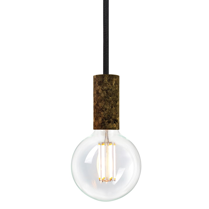 Cork Soil Raven (TT-09) van NUD Collection met lichtbron