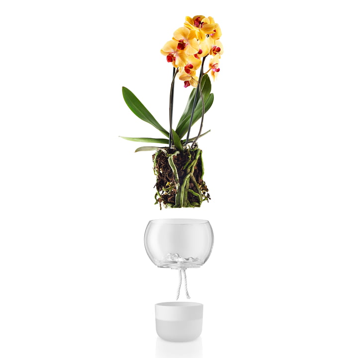 Zelfvoorzienende bloempot voor orchideeën Ø 15 cm van Eva Solo