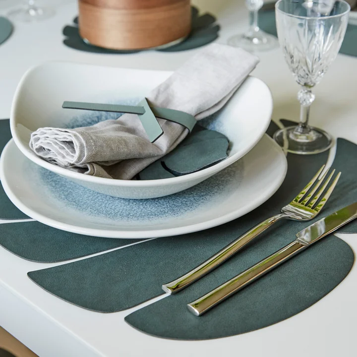 Monstera Tafelset van Lind DNA