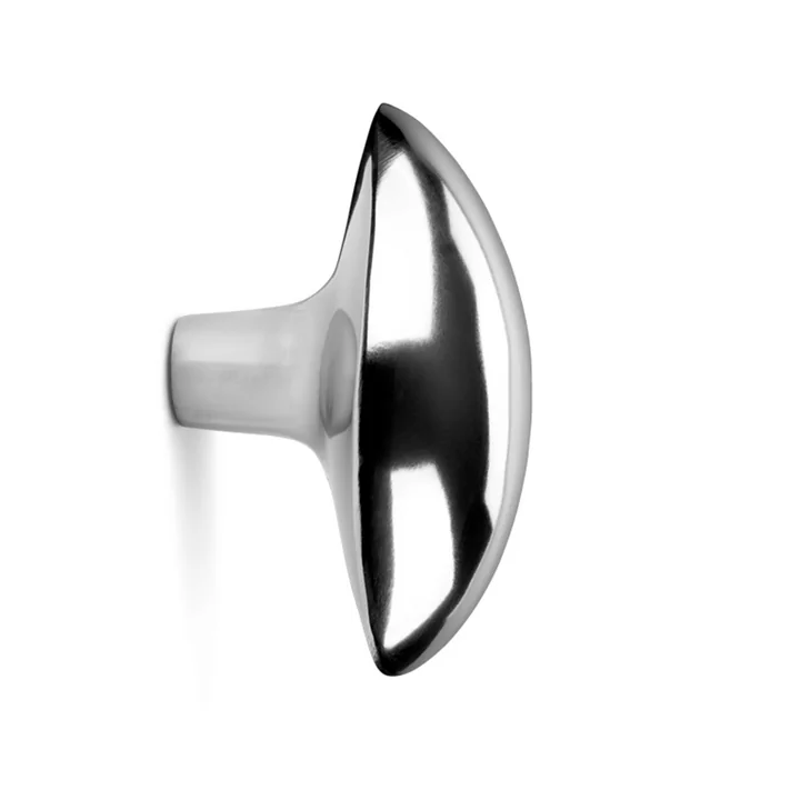 Wandhaak Citroen, staal van gefermenteerd leven